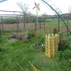 SODBA VS: Od proizvodnje vrtnin se plačuje davek od dohodkov iz dejavnosti, ne glede na statusno organizacijsko obliko zavezanca.