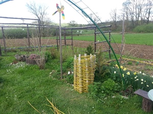 SODBA VS: Od proizvodnje vrtnin se plačuje davek od dohodkov iz dejavnosti, ne glede na statusno organizacijsko obliko zavezanca.