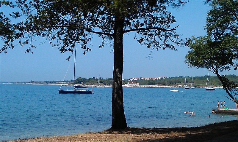 Vlada določila besedilo predloga Zakona o spremembah in dopolnitvah Zakona o preprečevanju pranja denarja in financiranja terorizma